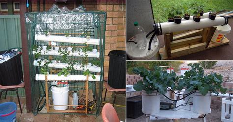 experiments with hydroponics|DIY Hydroponics .
